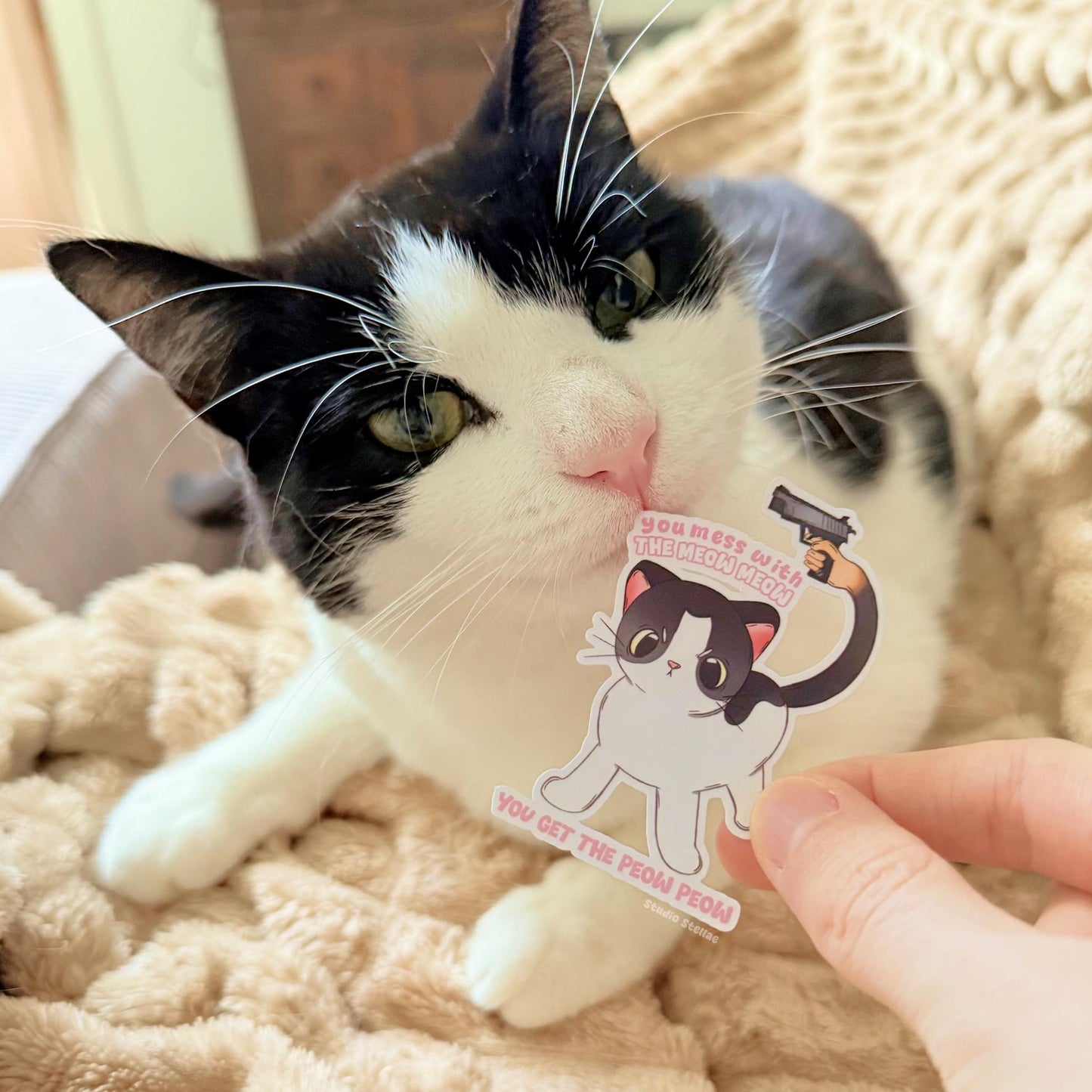 Close-up of a hand holding the Cat With Gun sticker next to a real black and white cat, showing the sticker’s size and detail in a cozy home setting. The cute white chibi kitten with the funny meow meow peow peow quote stands out with a matte laminated finish and clean die cut edges. This playful meme cat decal is perfect for laptops, journals and gifts for cat owners and animal lovers.