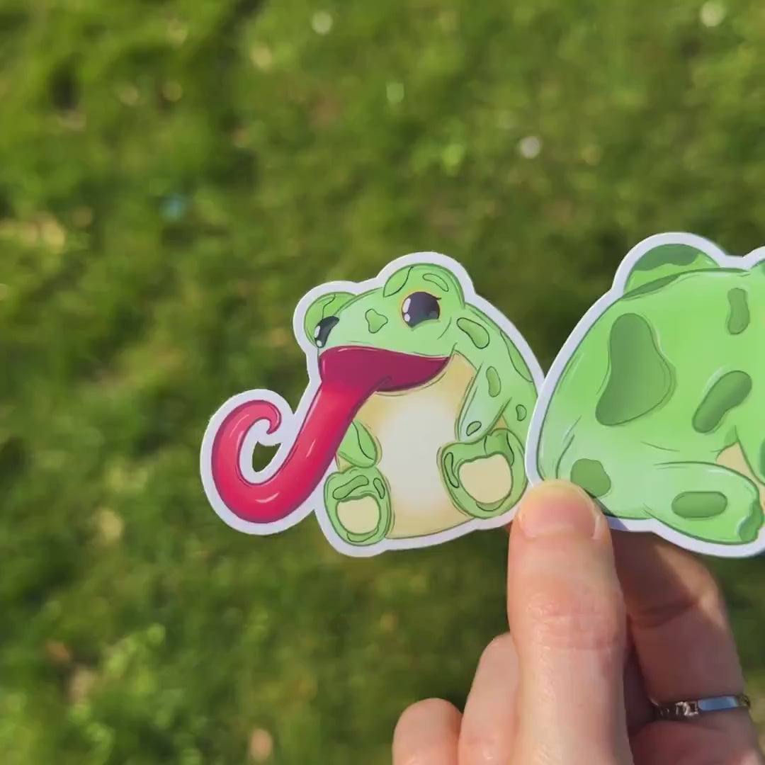 Kawaii Frog Sticker Set | Frog Butt & Froggy Tongue | Funny Green Laptop Decals | Colorful Gift