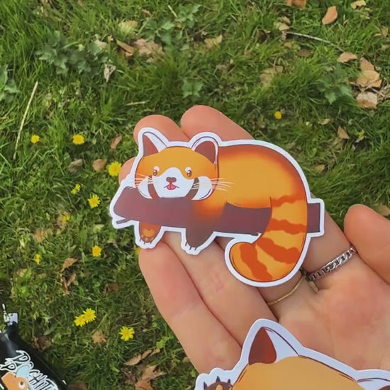 Red Panda Sticker Set | Decal Pack for Kawaii Animal Lovers | Happy & Lazy Chibi Panda